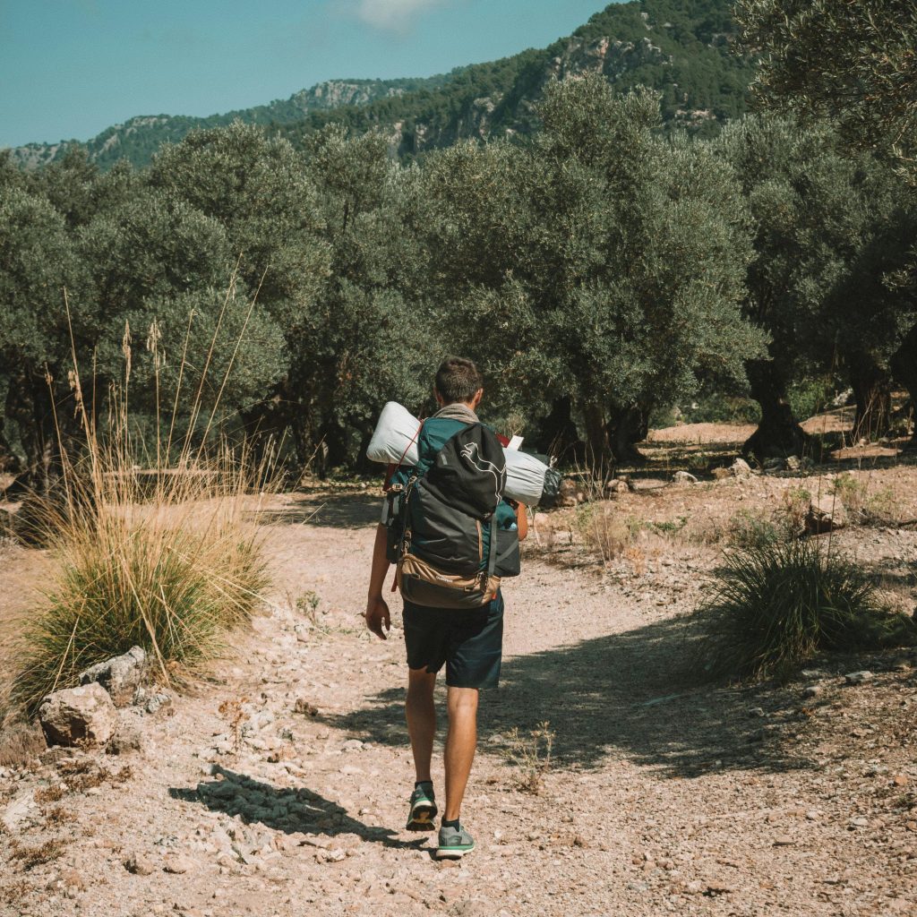 Zakynthos Hiking in Olive Groves